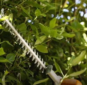 Stihl Maroc motoculteur débroussailleuse taille haie tronçonneuse thermique tondeuse à gazon